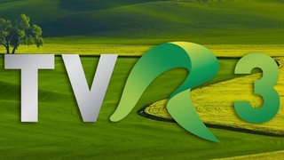 Program tv TVR 3